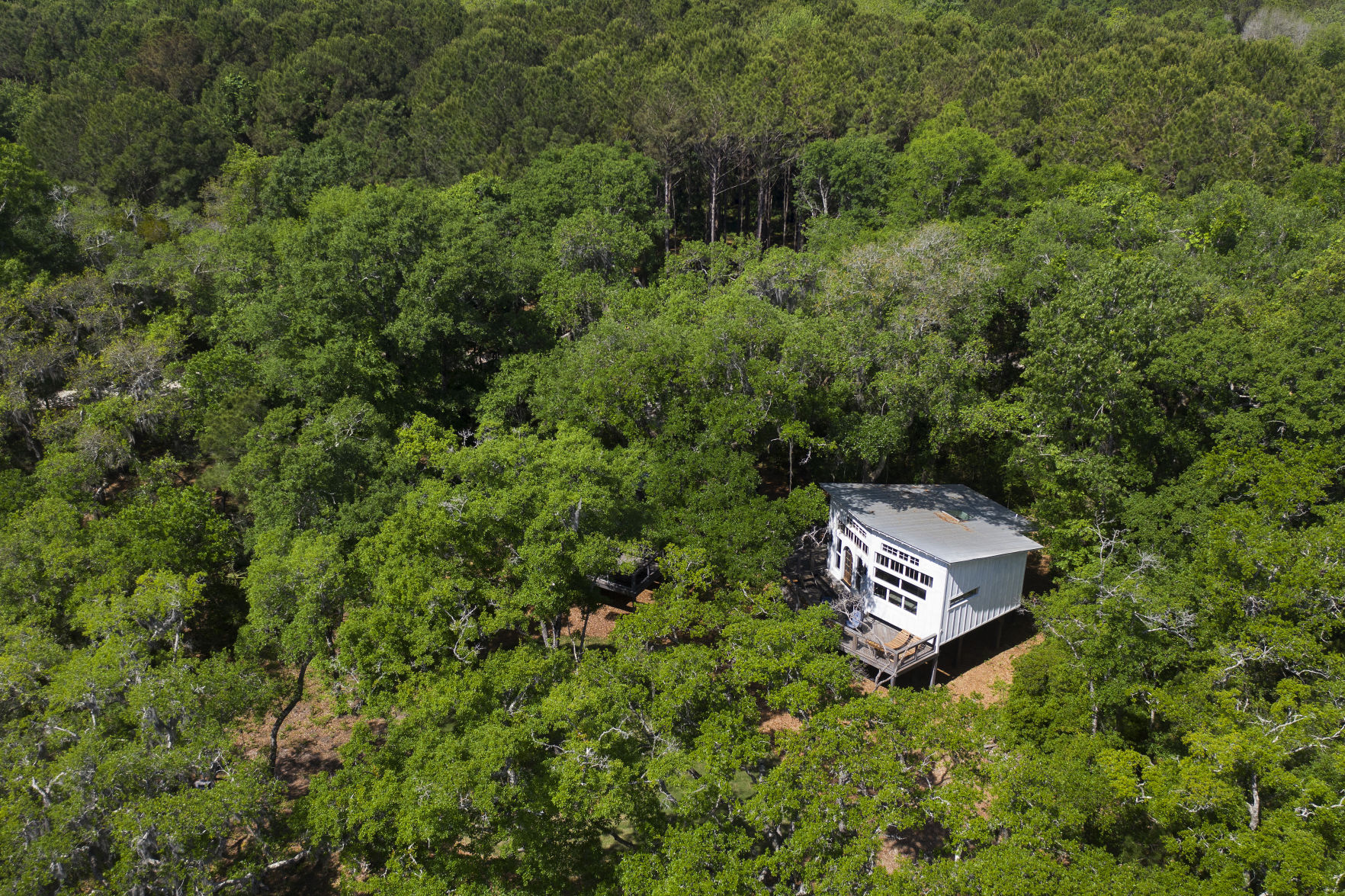 Bolt Farm Treehouse drone.JPG